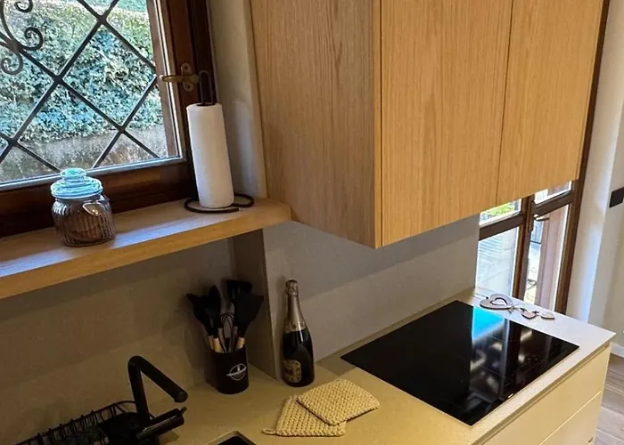 Breva's Flat Near Белладжо